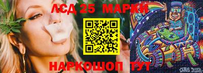 гидропоника Гусев