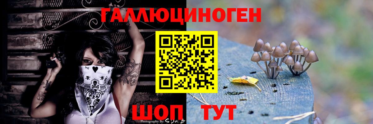 Псилоцибиновые грибы Psilocybe Мурино